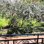 Sun Garden House Дом отдыха *