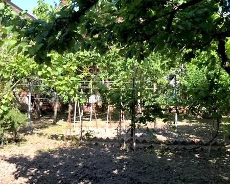 Sun Garden House Holiday home Rimini